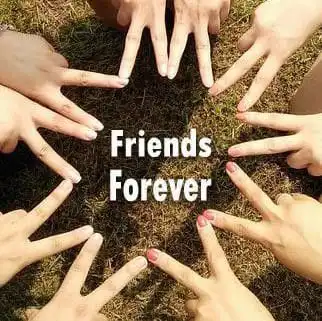 friends group dp